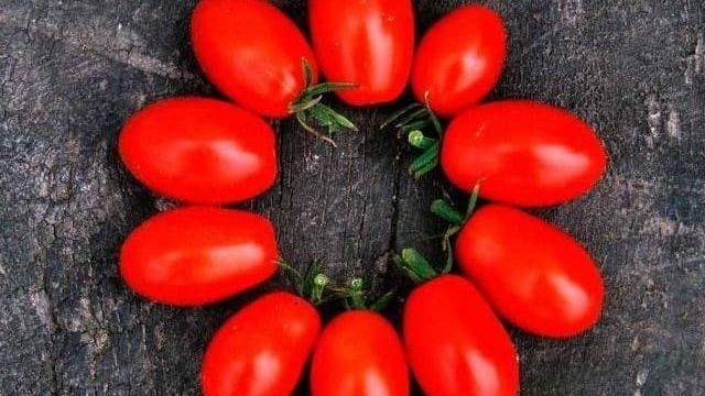 Томат «Гроздевой» — отличная урожайность и запоминающийся вкус