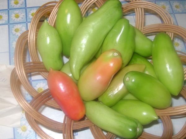 Баклажан помидор перец лук целые в маринаде