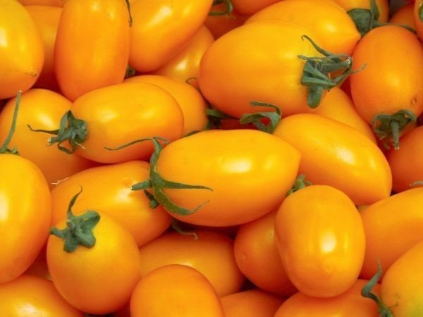 Жёлтые помидоры сорта низкорослые