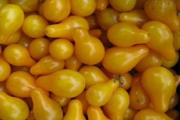 Грушевидные желтые помидоры