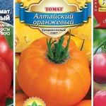Урожайная красота на любой вкус — томат Алтайский красный, розовый, оранжевый
