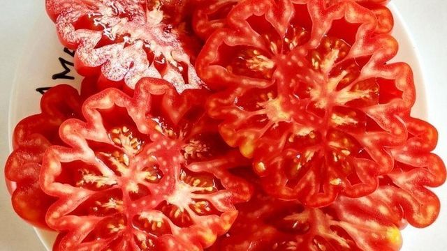 Помидоры "Американские Ребристые": описание плодов, урожайность, фото томатов, подверженность вредителям Русский фермер