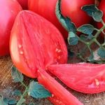 “Вельможа” – очень вкусный сорт томатов для северных регионов