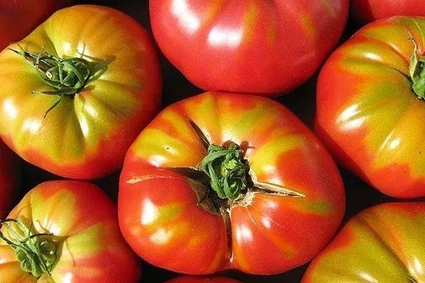 Кислые сорта томатов
