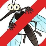 "Циперметрин": влияние на человека универсального средства от насекомых