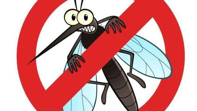 "Циперметрин": влияние на человека универсального средства от насекомых