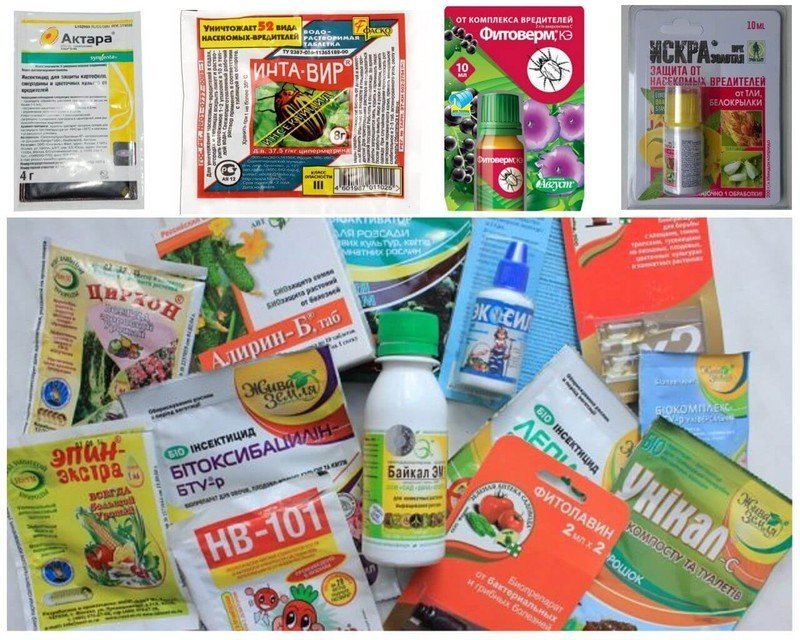 Препараты для борьбы с вредителями и болезнями растений
