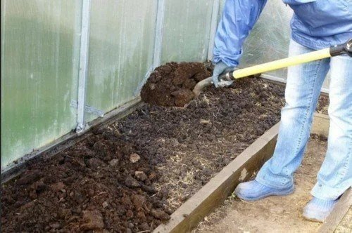 Подготовка почвы в теплице