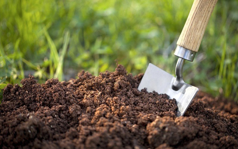 Why do soils come in different colours?