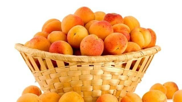 Как правильно подкармливать абрикос?