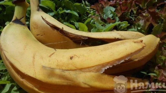 Кожура бананов как удобрение для огорода: банановый настой для комнатных цветов и рассады