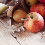 Удобрение для яблони и груши осенью