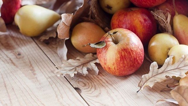 Удобрение для яблони и груши осенью