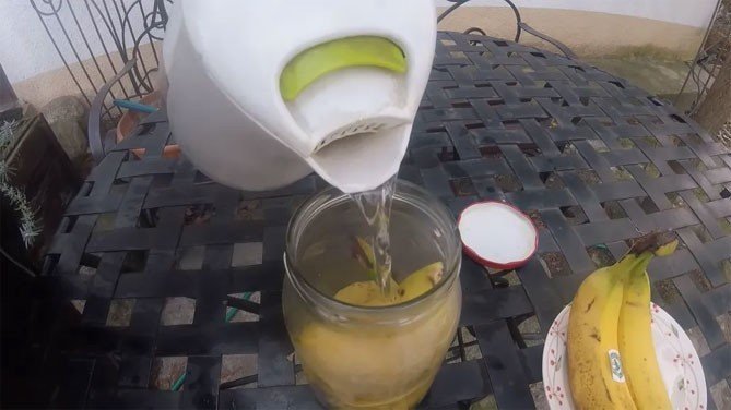 Настой банановой кожуры для полива