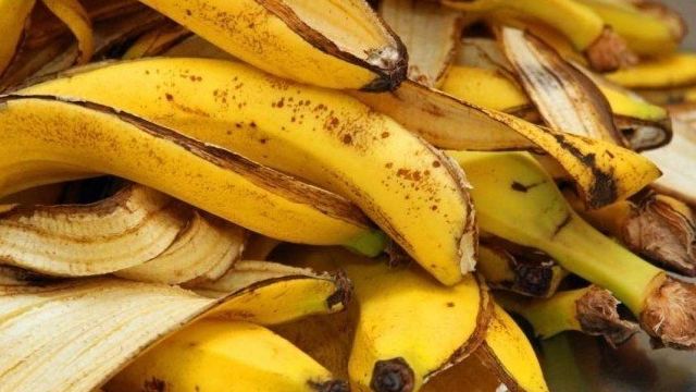 Банановая кожура как удобрение. Как правильно использовать банановую кожуру как удобрение для огорода