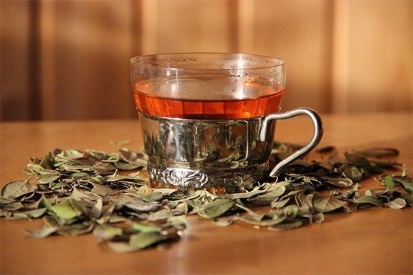 Брусничный лист чай