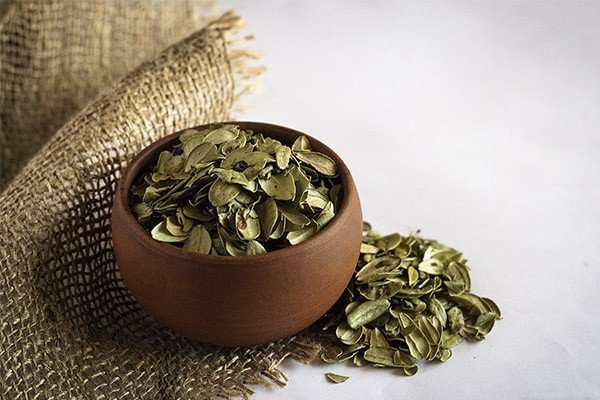 Чай из листьев гинкго