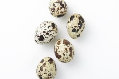 Перепелиные яйца на белом фоне
