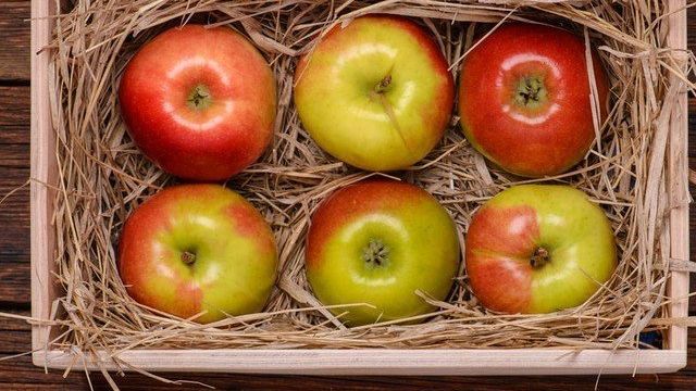 7 беспроигрышных способов, чтобы сохранить яблоки свежими на зиму