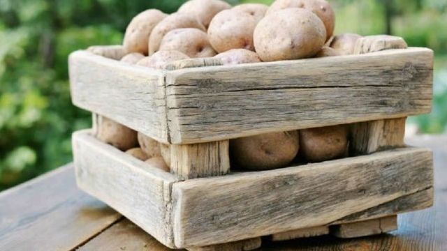 Где лучше хранить картофель, если нет погреба?