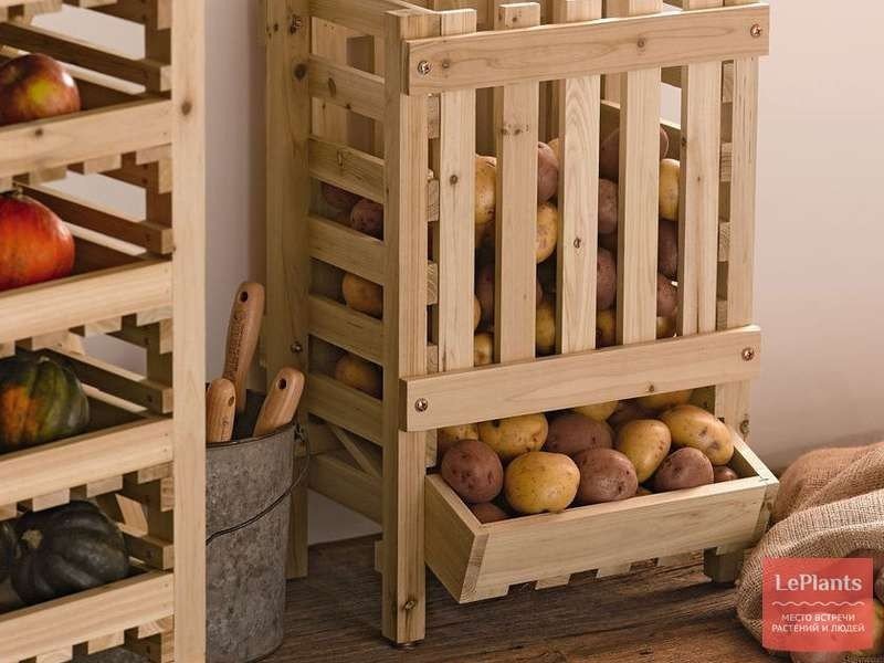 Ящики деревянные для овощей