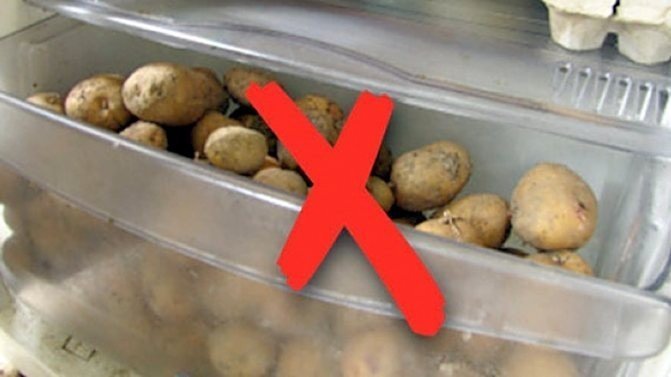 Холодильник для картофеля