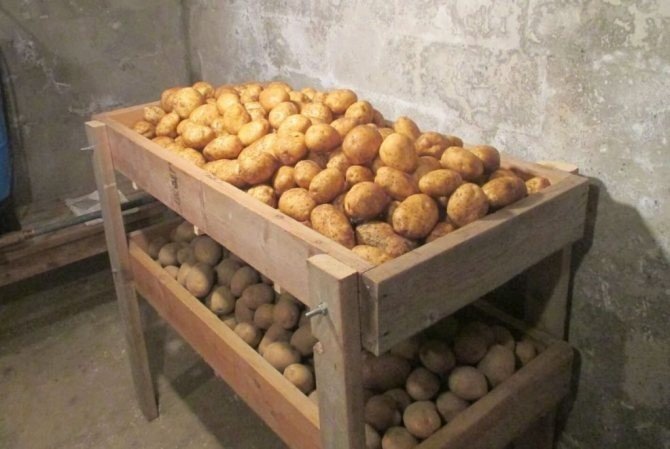 Сорт картофеля хранение лежкость галла