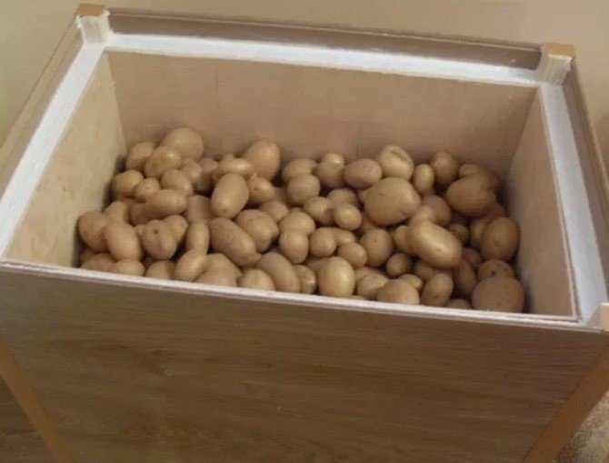 Ящики для хранения картофеля в погребе