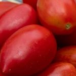 Как правильно хранить помидоры в домашних условиях, чтобы лакомиться ими до весны