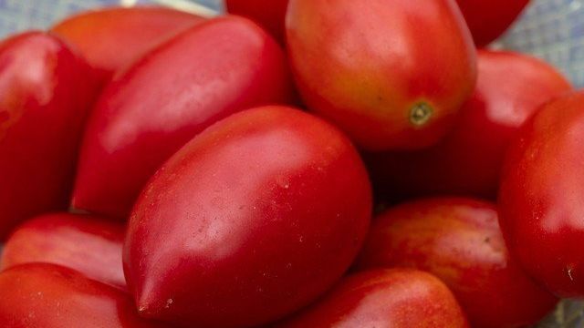 Как правильно хранить помидоры в домашних условиях, чтобы лакомиться ими до весны