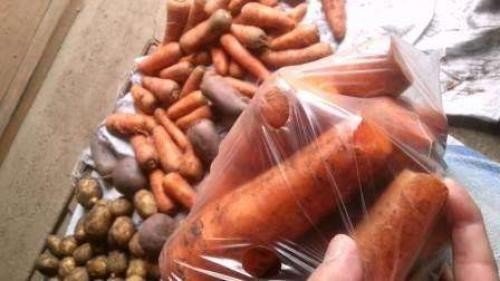 Хранение моркови на зиму в домашних условиях