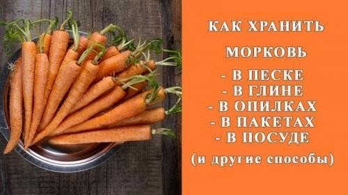 Условия хранения моркови