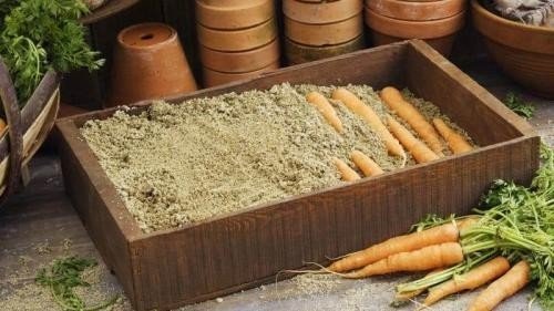 Ящик для хранения моркови