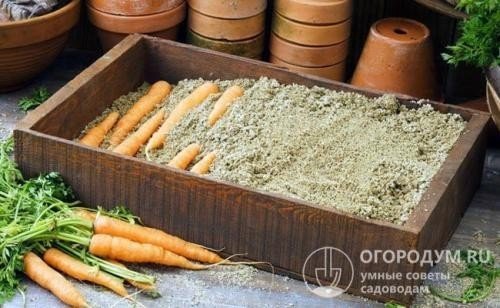 Ящик для хранения моркови в песке