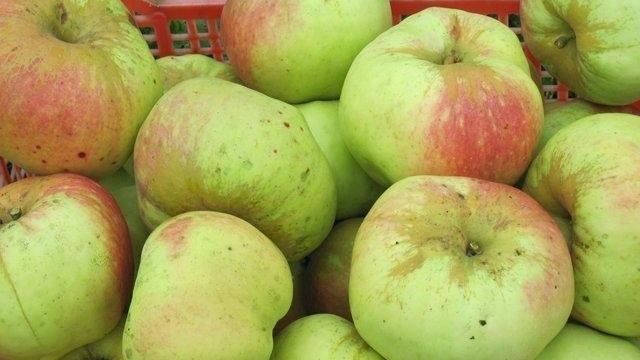 ТОП 5 рецептов компота из яблок и винограда на зиму со стерилизацией и без в кастрюле