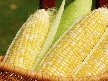 Домашняя консервированная кукуруза