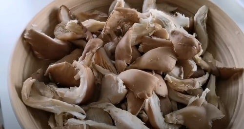 Вешенки грибы мариновка