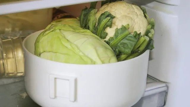 Сколько хранится тушеная капуста в холодильнике