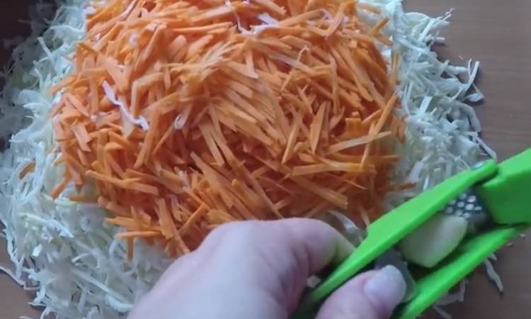 Салат из перца корня петрушки морковь
