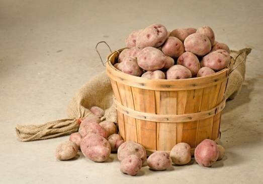 Известь для хранения картофеля