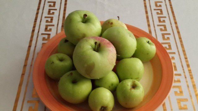 Как сушить яблоки в духовке — 5 правильных и быстрых рецептов, как приготовить сушеные яблоки