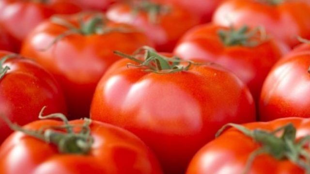Как заморозить помидоры на зиму: ТОП-5 рецептов, кулинарные советы