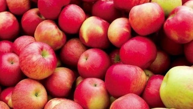 ТОП 3 рецепта приготовления протертых с сахаром яблок на зиму