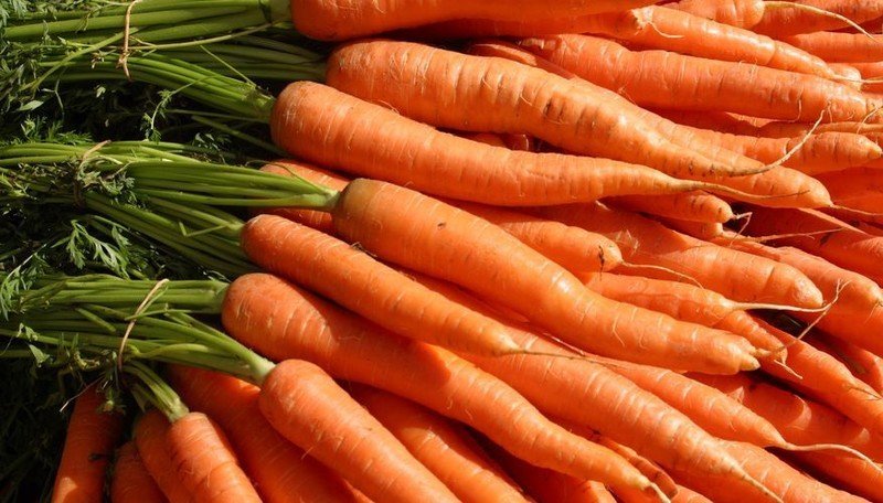 Бета каротин в моркови