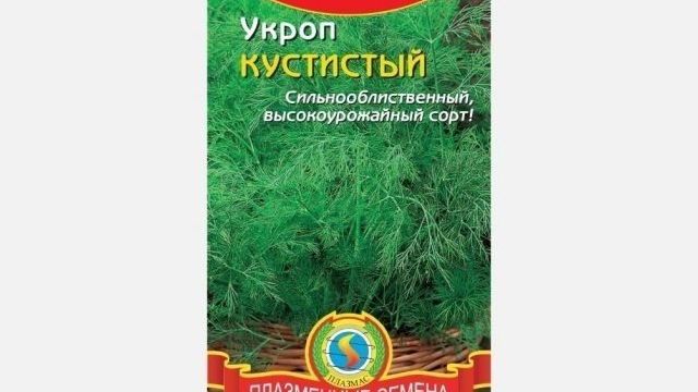 Укроп кустовой против обычного или укропа из аптечных семян
